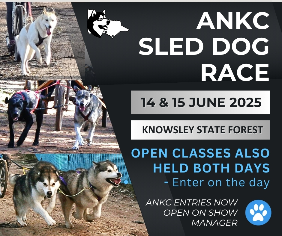 June sledding events