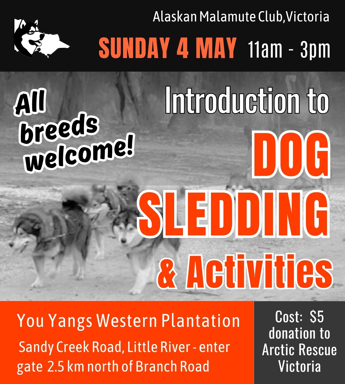 Sledding & Activities Day