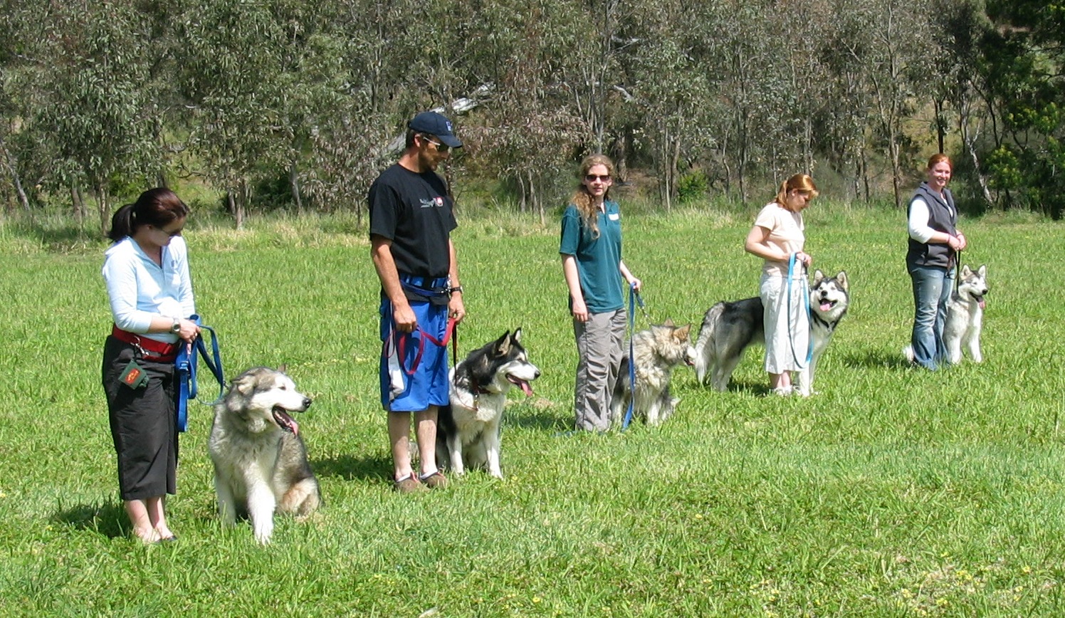 Obedience class