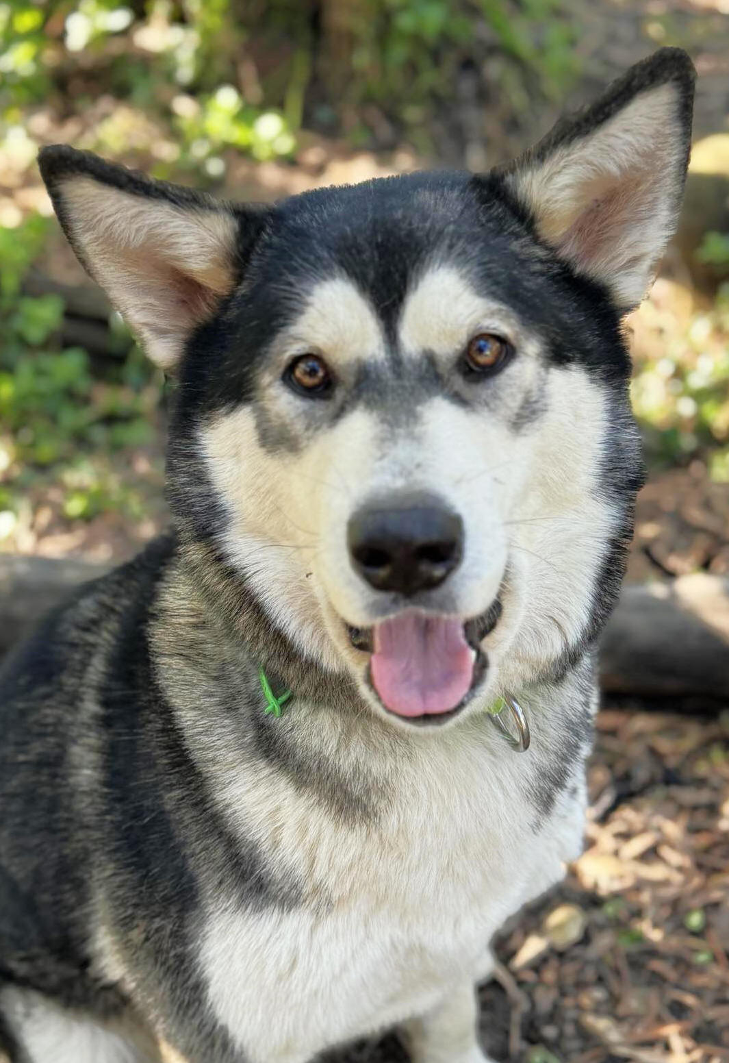 Delilah
