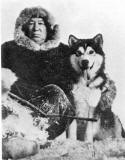 Eskimo & Malamute