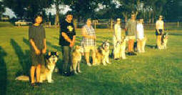 Malamute Obedience Class